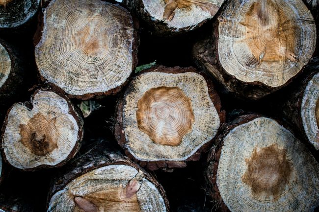 monika-grabkowska-S59dyPi00ow-unsplash Solid Wood blog photo