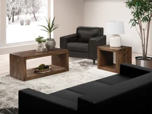 Folsom Collection