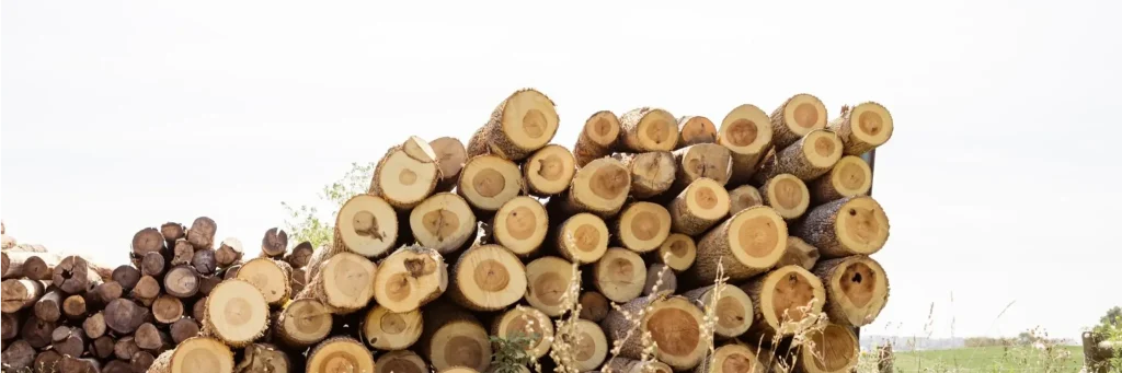 Hardwoods ready to be made into Amish-made furniture