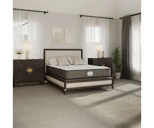 Quiet Night Collection