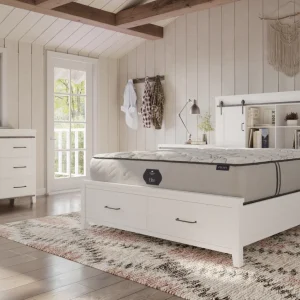 Elite Plush Mattress